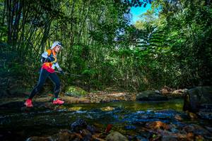 BIB: 
                            <button type="button" onclick="openModal(21764705)" class="btn btn-primary btn-sm float-right btn-popup" data-toggle="modal" data-target=".modal-high-quality">
                        <i class="fas fa-shopping-cart"></i> Add to Cart
                    </button>
                                            <button type="button" onclick="isThisMe(21764705, true)" class="btn btn-success btn-sm float-right btn-popup btn-isme hidden" data-toggle="tooltip" data-placement="bottom" title="นี่คือรูปของคุณใช่ไหม คลิกที่นี่เพื่อเอาเข้าอัลบั้ม">
                        <i class="fas fa-plus"></i> Add to album
                    </button>
                    <button type="button" onclick="isThisMe(21764705, false)" class="btn btn-warning btn-sm float-right btn-popup btn-isnotme hidden">
                        <i class="fas fa-ban"></i> Remove from album
                    </button>